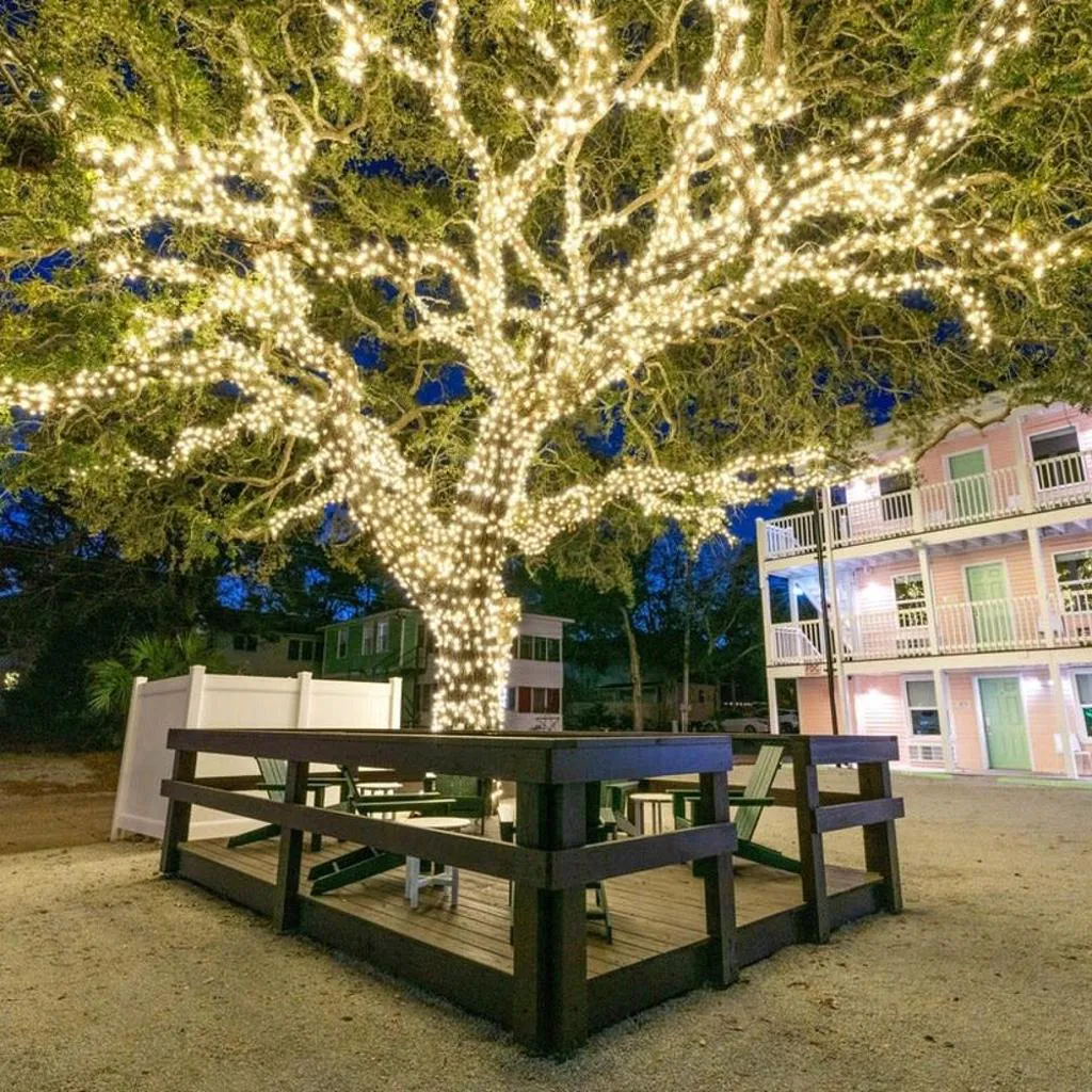 Photograph of TreeHouse Lodge Walk to Beach Pet-Friendly 202
