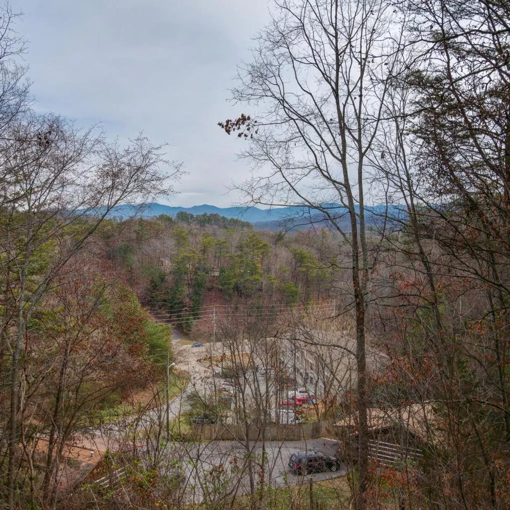 Photograph of Beary Good Time by American Patriot Getaways