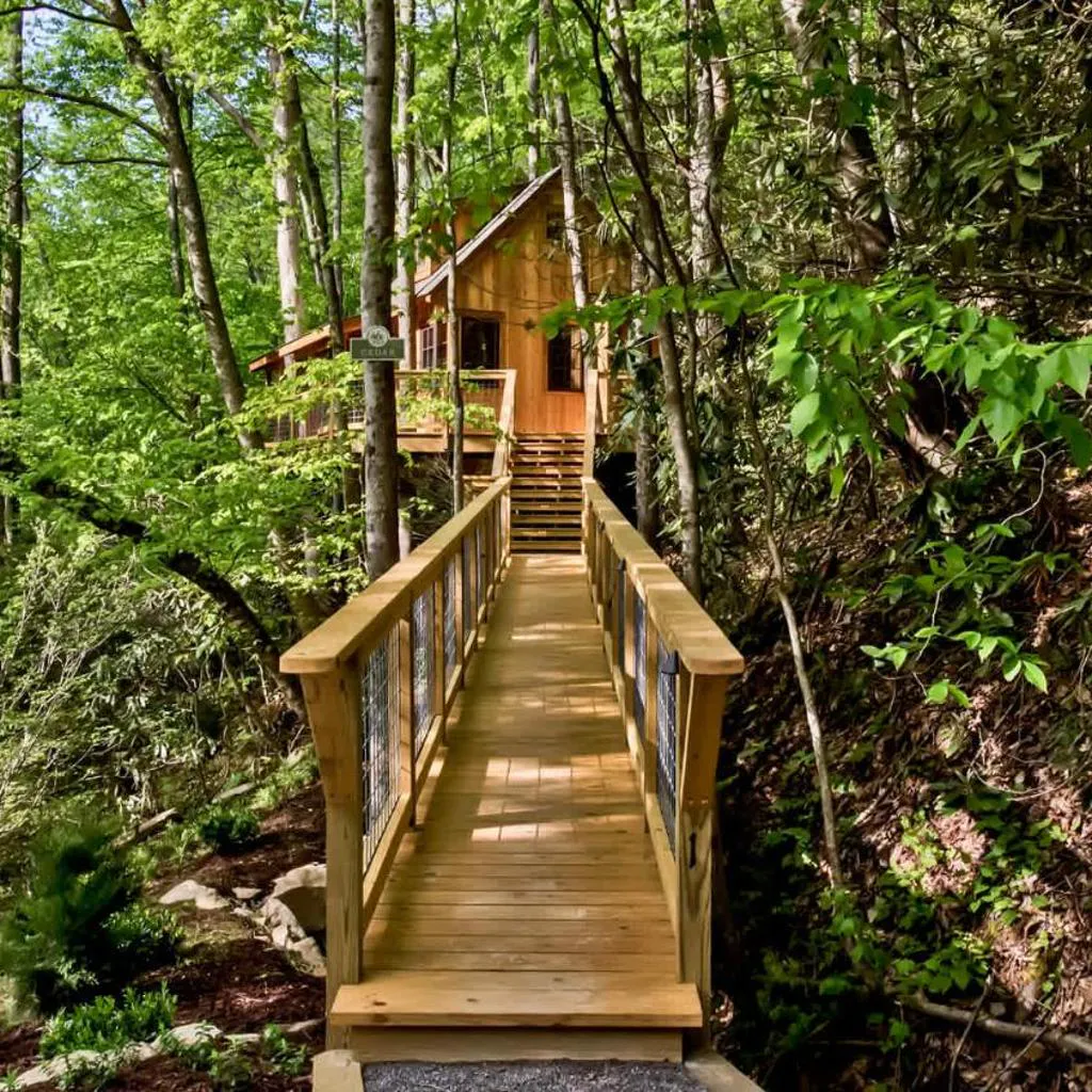 Photograph of The Cedar in Treehouse Grove at Norton Creek