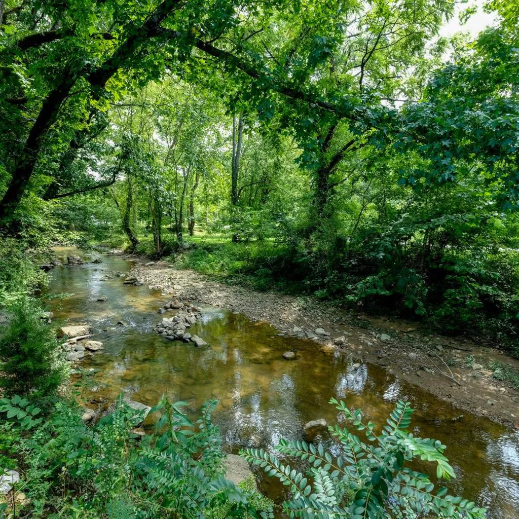Photograph of Lee's Creekside