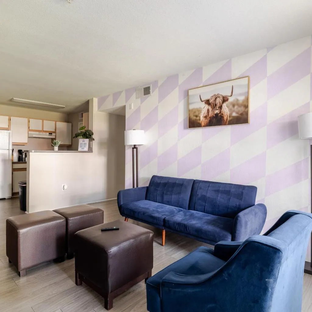 Photograph of Cool 2Bed 1Bath 5 min walk to NRG and Medical Center