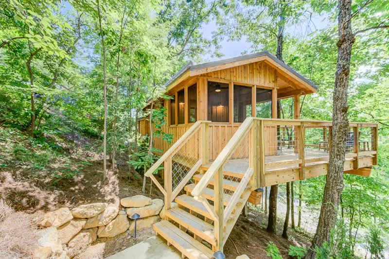 Photograph of The Cherry in Treehouse Grove at Norton Creek