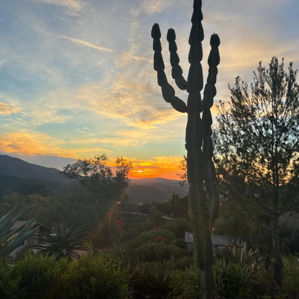Photograph of Painted sky casita