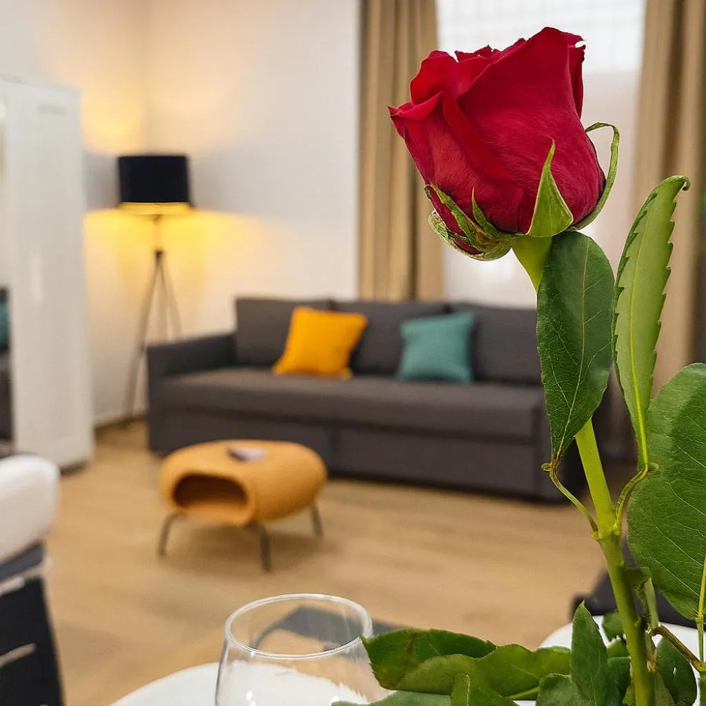 Photograph of The Apartment Botanic - La Puerta de Oliva