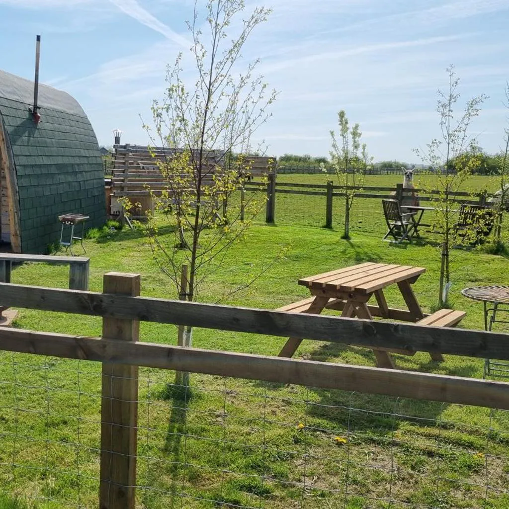 Photograph of Skipbridge farm glamping