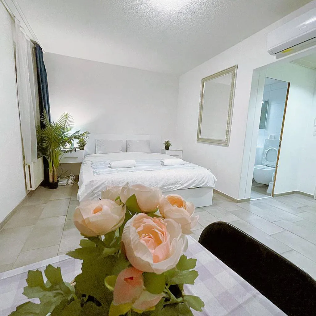Photograph of City Center Apt en-suite budget Self check in, ETH Zurich HB