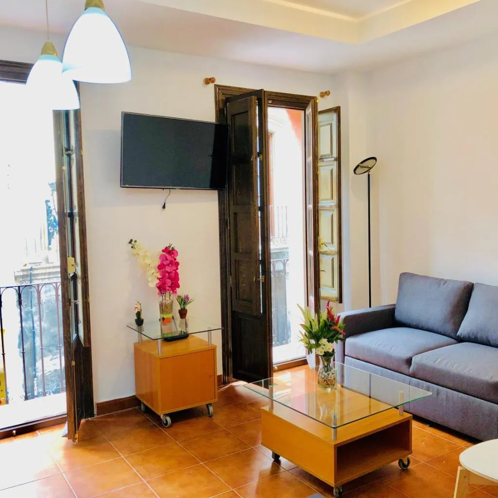 Photograph of tuGuest Plaza Nueva Apartment