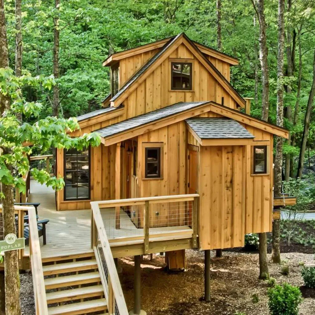 Photograph of The Poplar in Treehouse Grove at Norton Creek