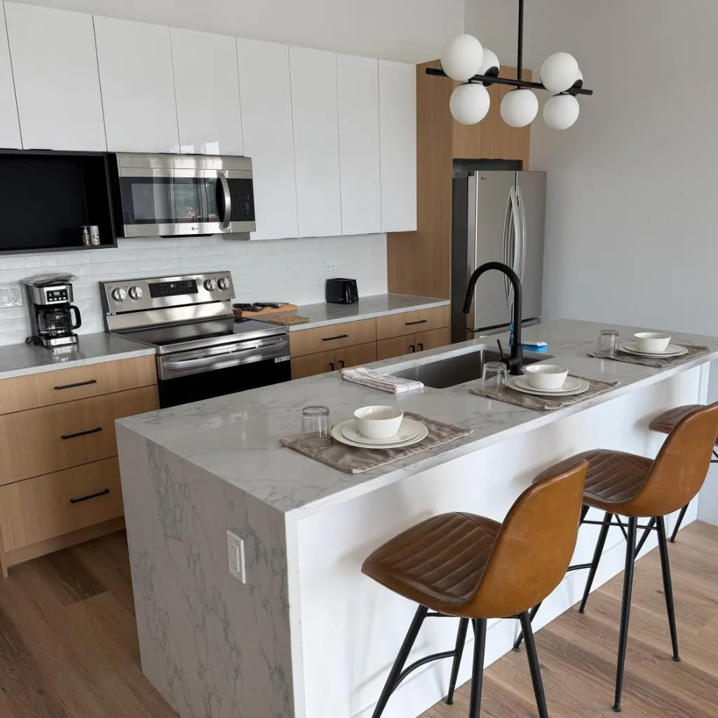 Photograph of Spacious 2BR Apartment Steps from UIC Rush Stroger Hospital and Restaurant Row