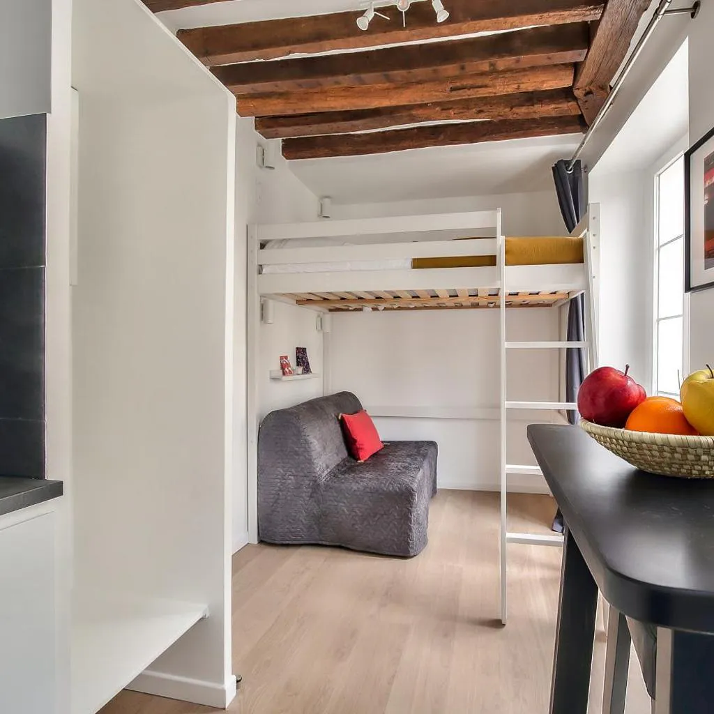 Photograph of Lovely Mezzanine Studio in the Heart of Paris 3M
