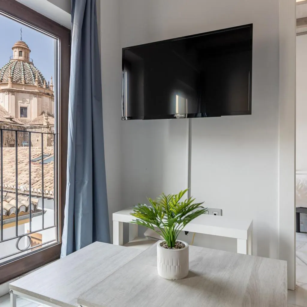 Photograph of Apartamentos Realejo Granada Centro 3000