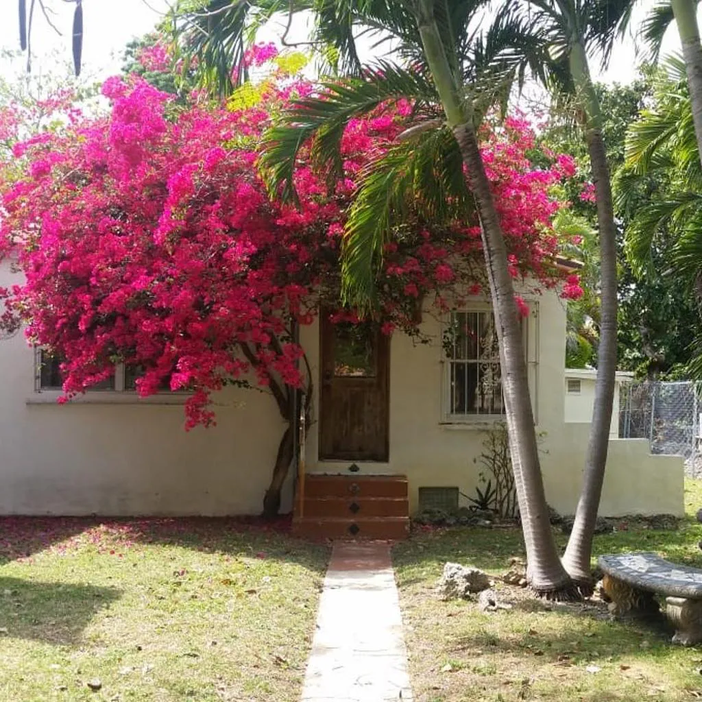Photograph of Private guest house in the heart of Little Havana! Minutes from Calle Ocho, Miami Int'l Airport, PortMiami, loanDepot Park, Inter Miami CF at Miami Freedom Park & Miami's top attractions! Perfect for cruise passengers, short getaways & sporting events!