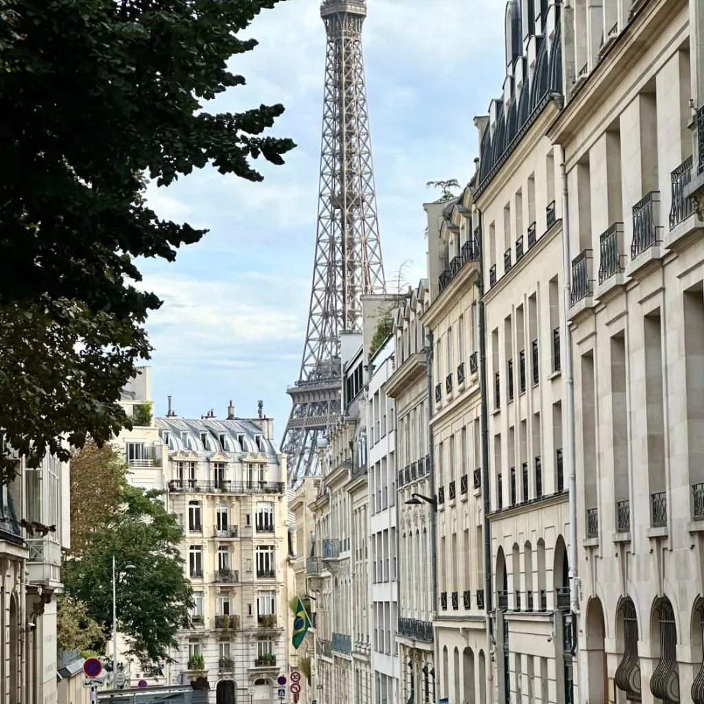 Photograph of Champs elysees apartment 4