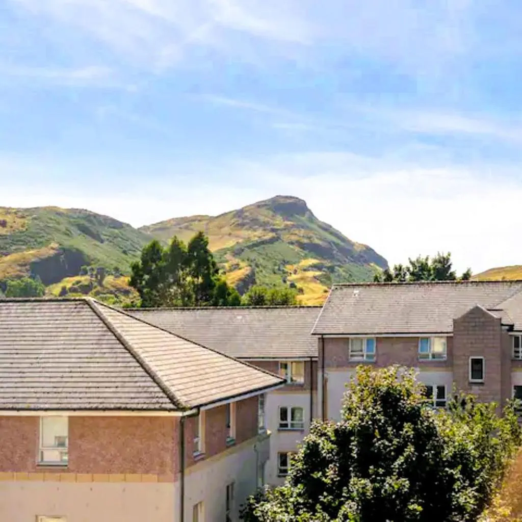 Photograph of Arthur's Seat Nest