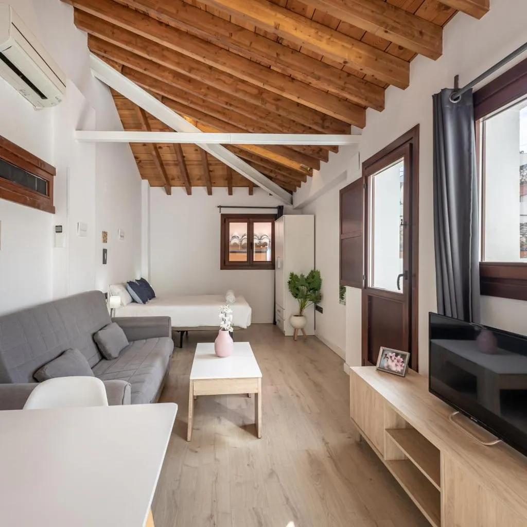 Photograph of Apartamentos Granada Deluxe 3000