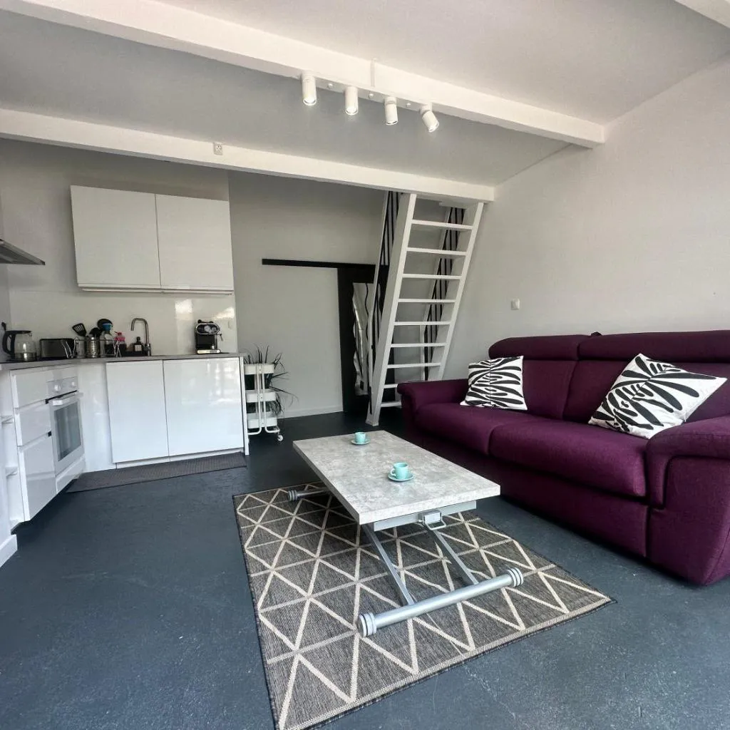 Photograph of L'Écrin Vert du Zénith - Studio mezzanine & parking 'La Cartoucherie' Toulouse