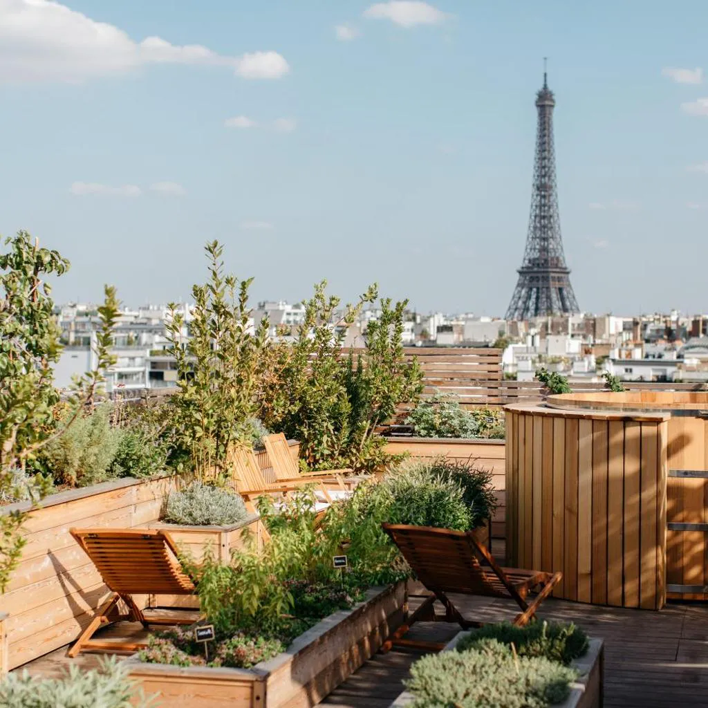 Photograph of Brach Paris - Evok Collection