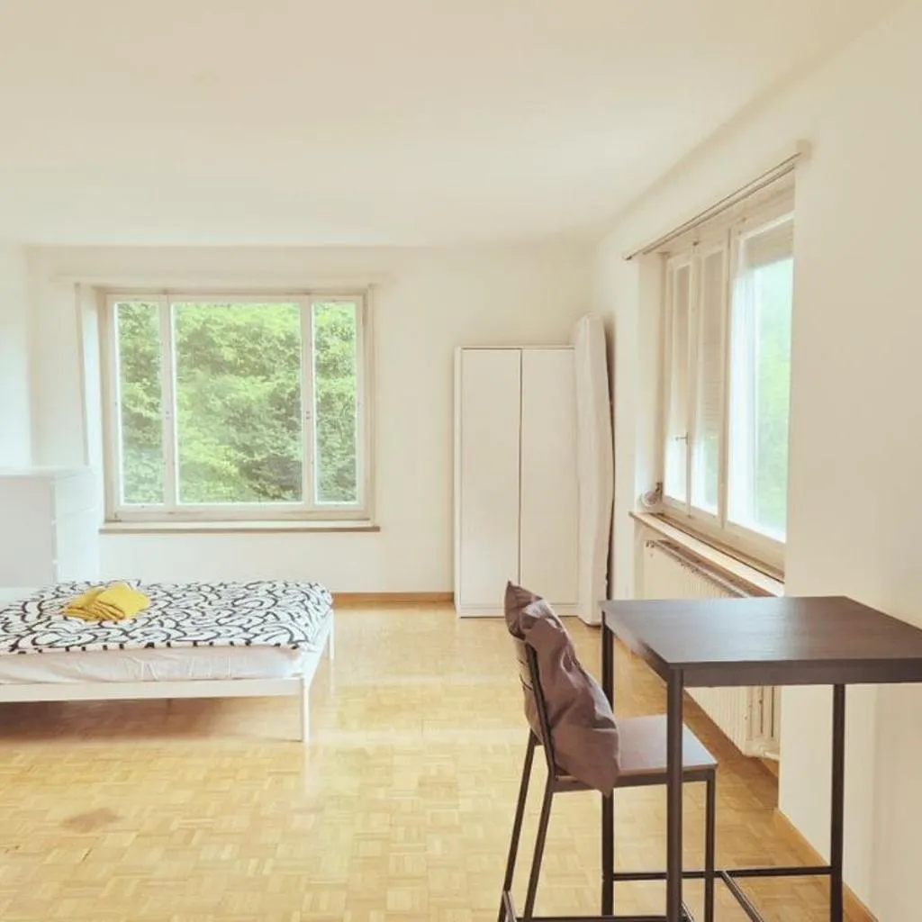 Photograph of Zurich Center Flats with Balcony - RigiD