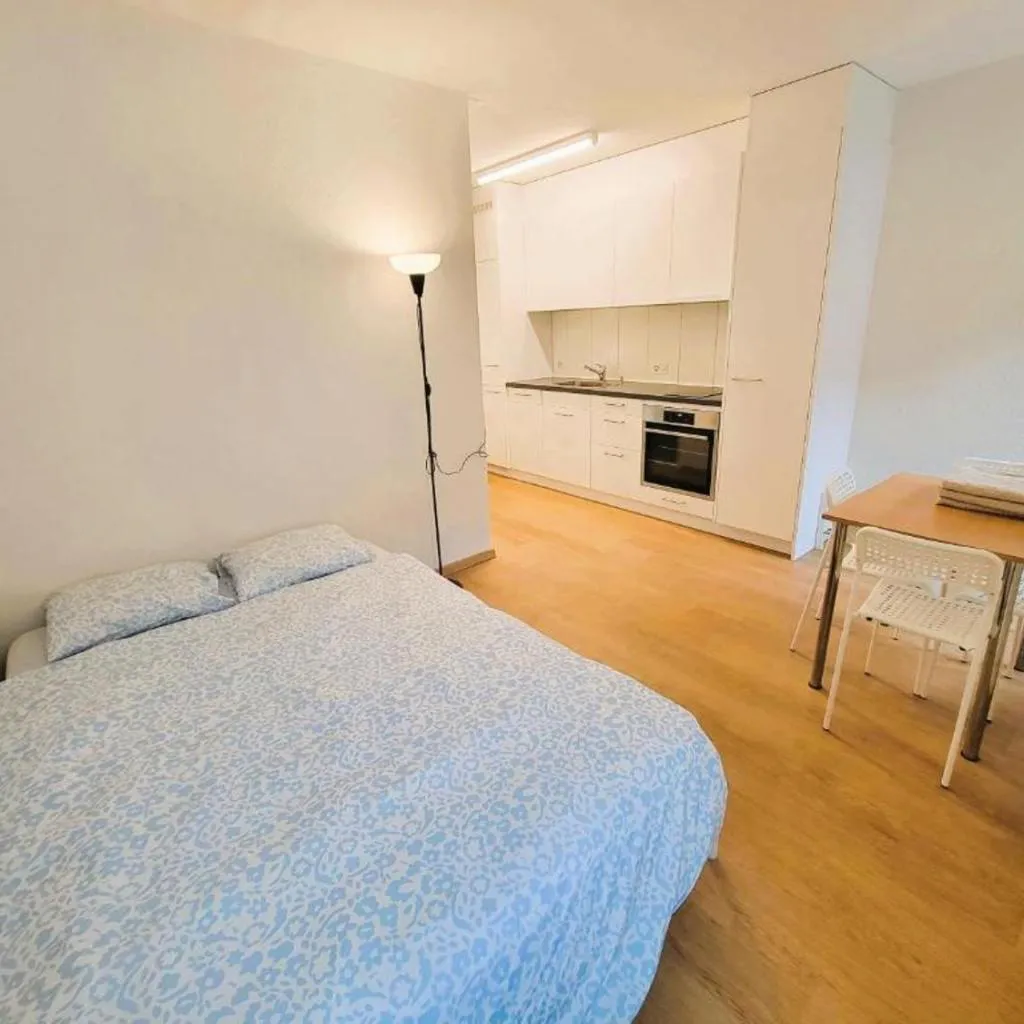 Photograph of Zurich City Center Apartments next to Zurich HB Main Train Station LA - Self Checkin