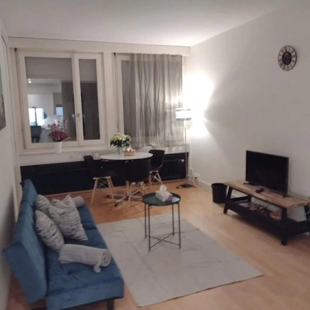 Photograph of Economic and quiet apartment in downtown Zurich