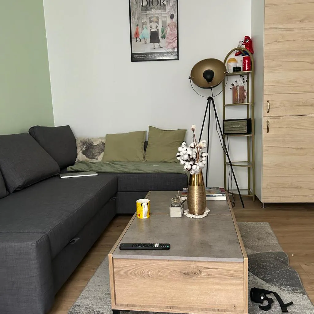 Photograph of Cozy Appartment in Voltaire