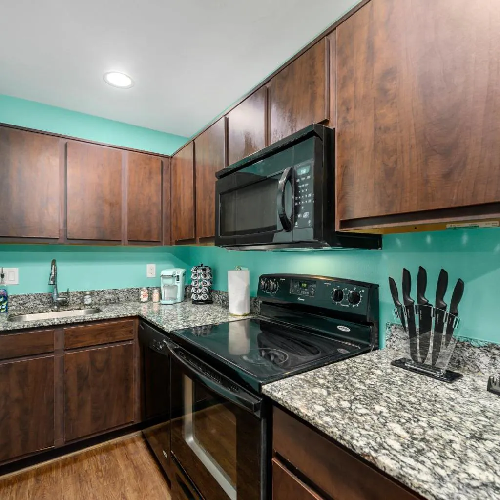 Photograph of Central 1BR with Free Parking Near Med Center & NRG Stadium