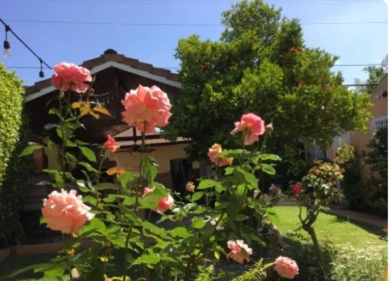 Photograph of Secret Garden