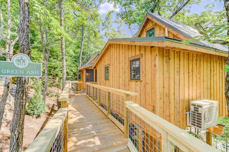 Photograph of The Green Ash in Treehouse Grove at Norton Creek