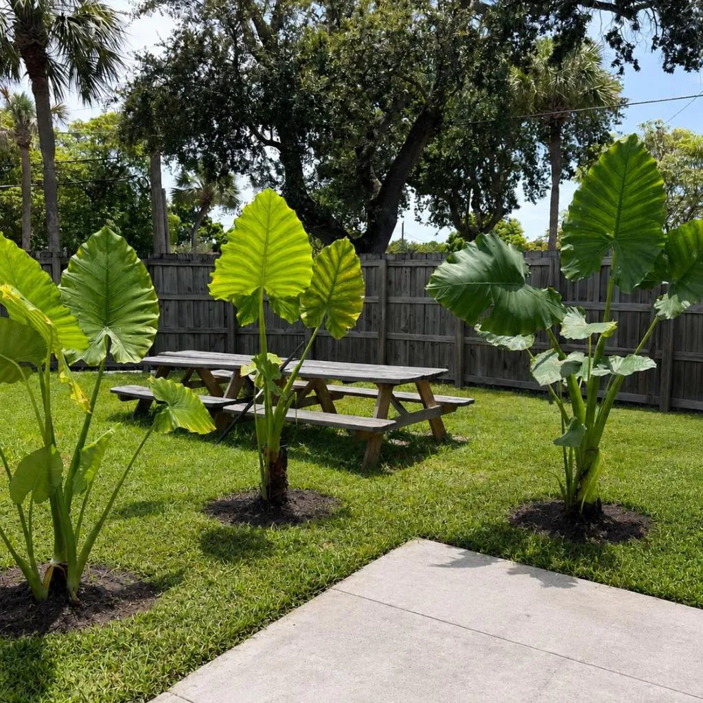 Photograph of The Palm at Miami Design District