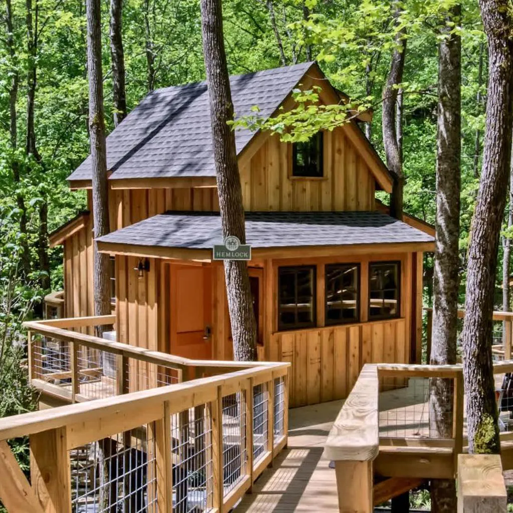 Photograph of The Hemlock in Treehouse Grove at Norton Creek