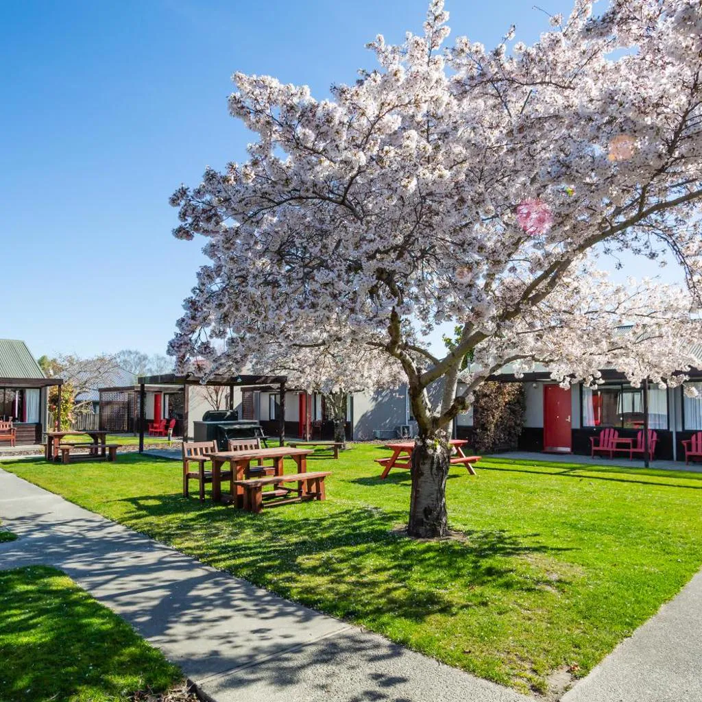 Photograph of Christchurch Park Motel