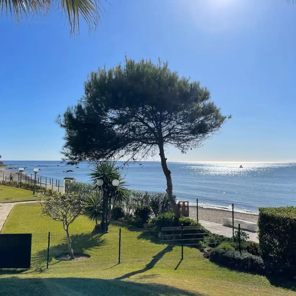 Photograph of Beachfront apartment at Costa del Sol
