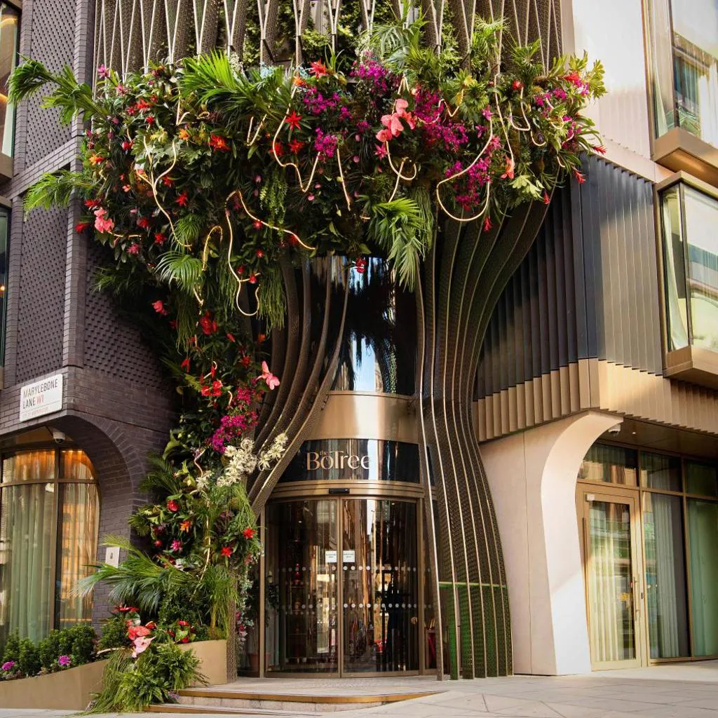 Photograph of The BoTree London, Curio Collection by Hilton
