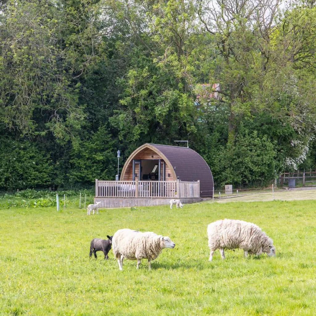 Photograph of Ashberry Glamping Pod