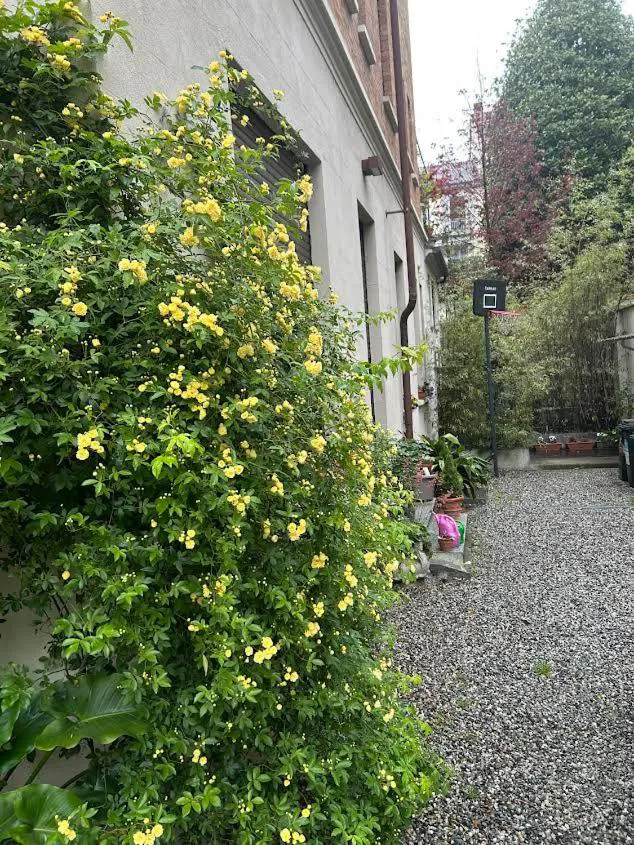 Photograph of Loft Crimea con patio