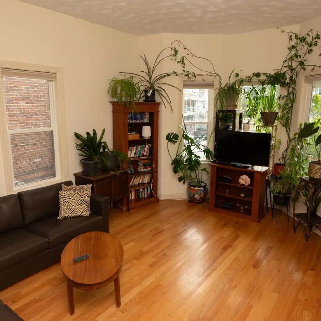 Photograph of 2 bedroom Boston condo in Jamaica Plain with parking