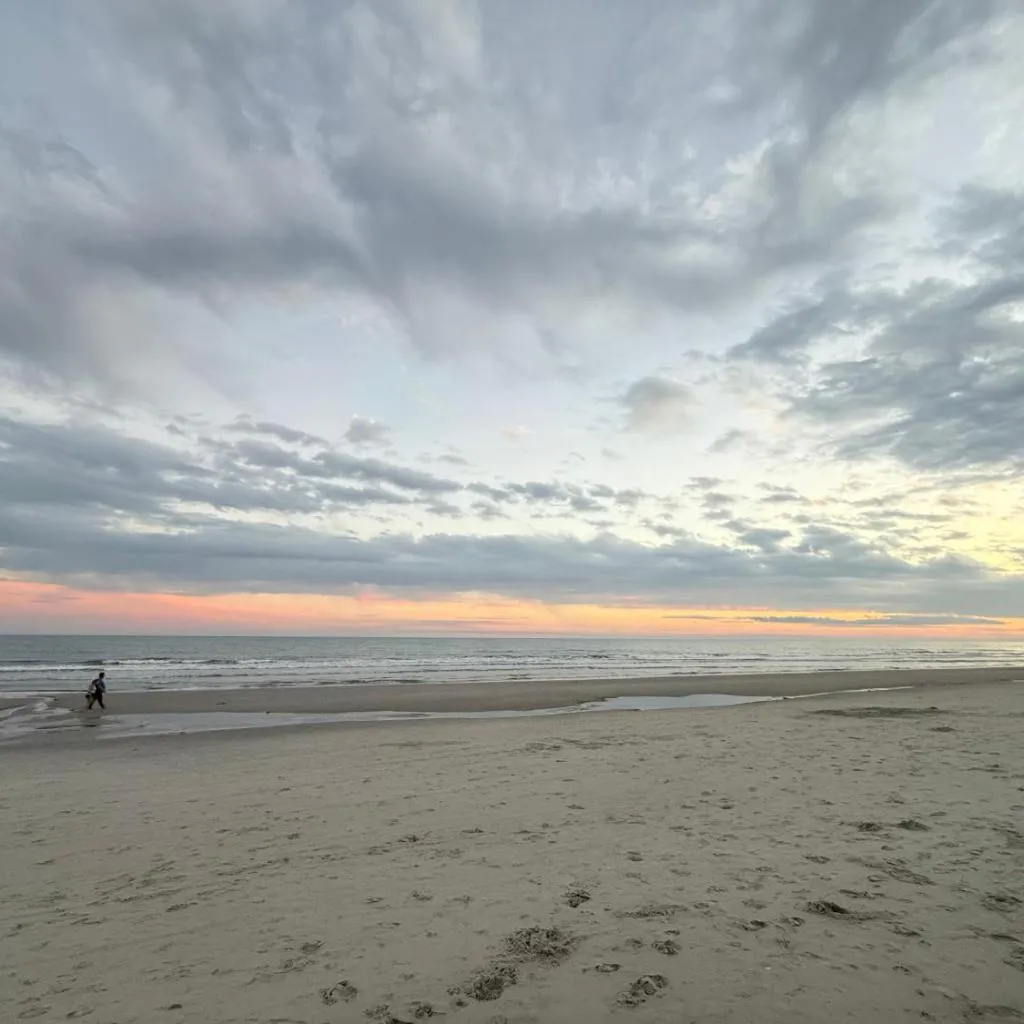 Photograph of Son of Beach 1st floor ocean view