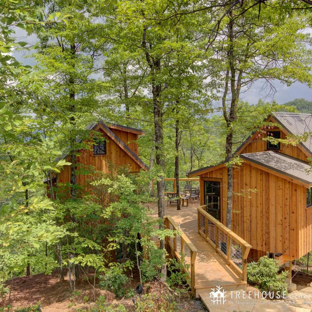 Photograph of The Hickory in Treehouse Grove at Norton Creek