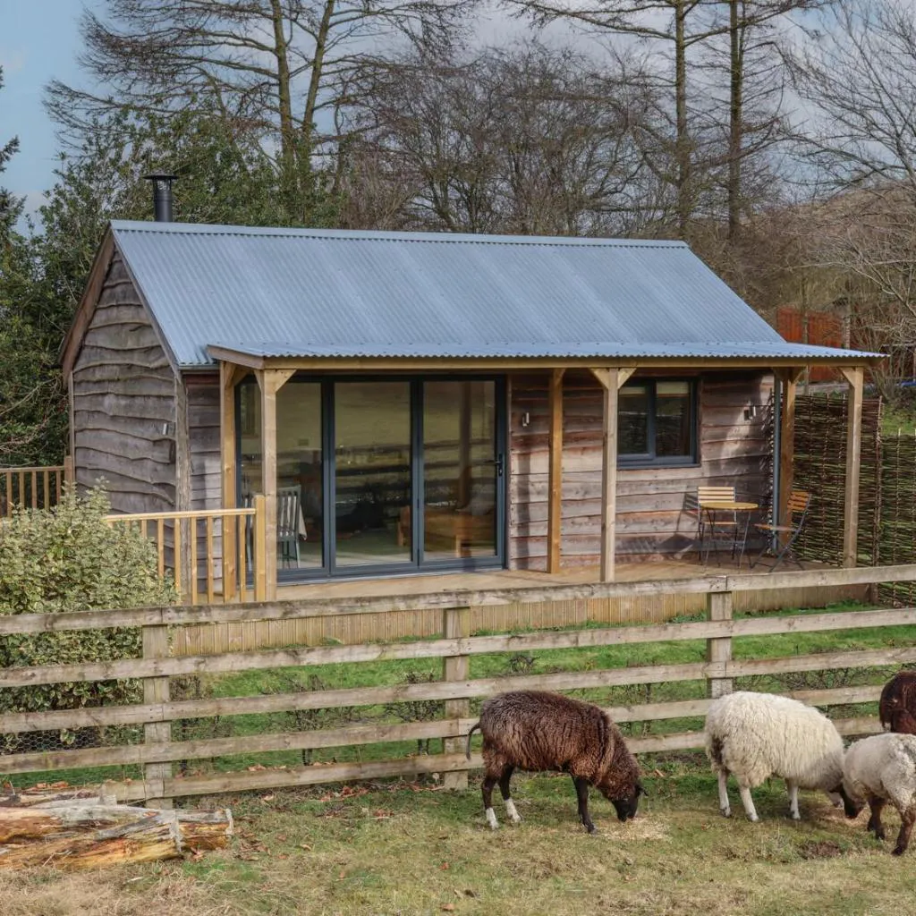 Photograph of Beech Tree Cabin