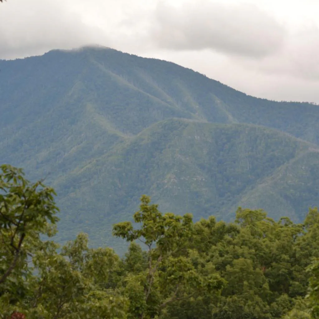 Photograph of Mountain Escape Chalet