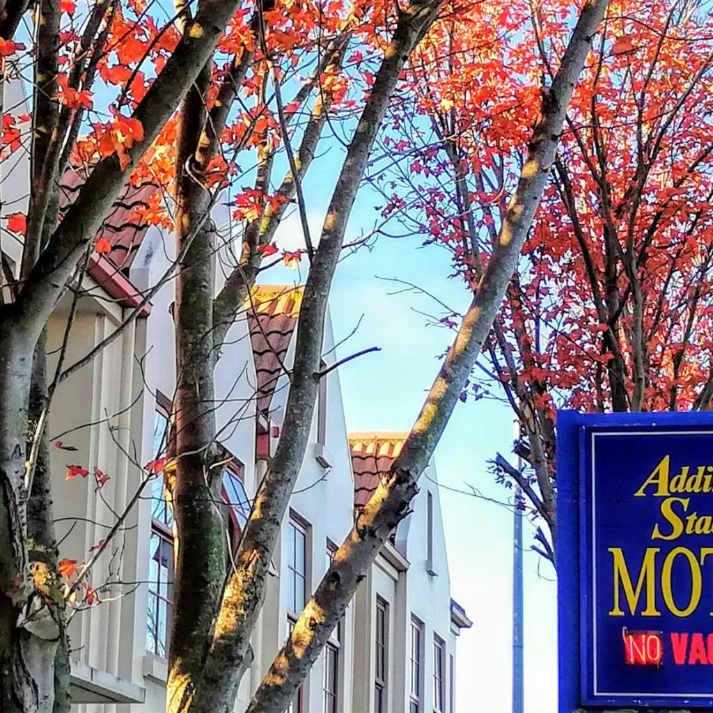 Photograph of Addington Stadium Motel