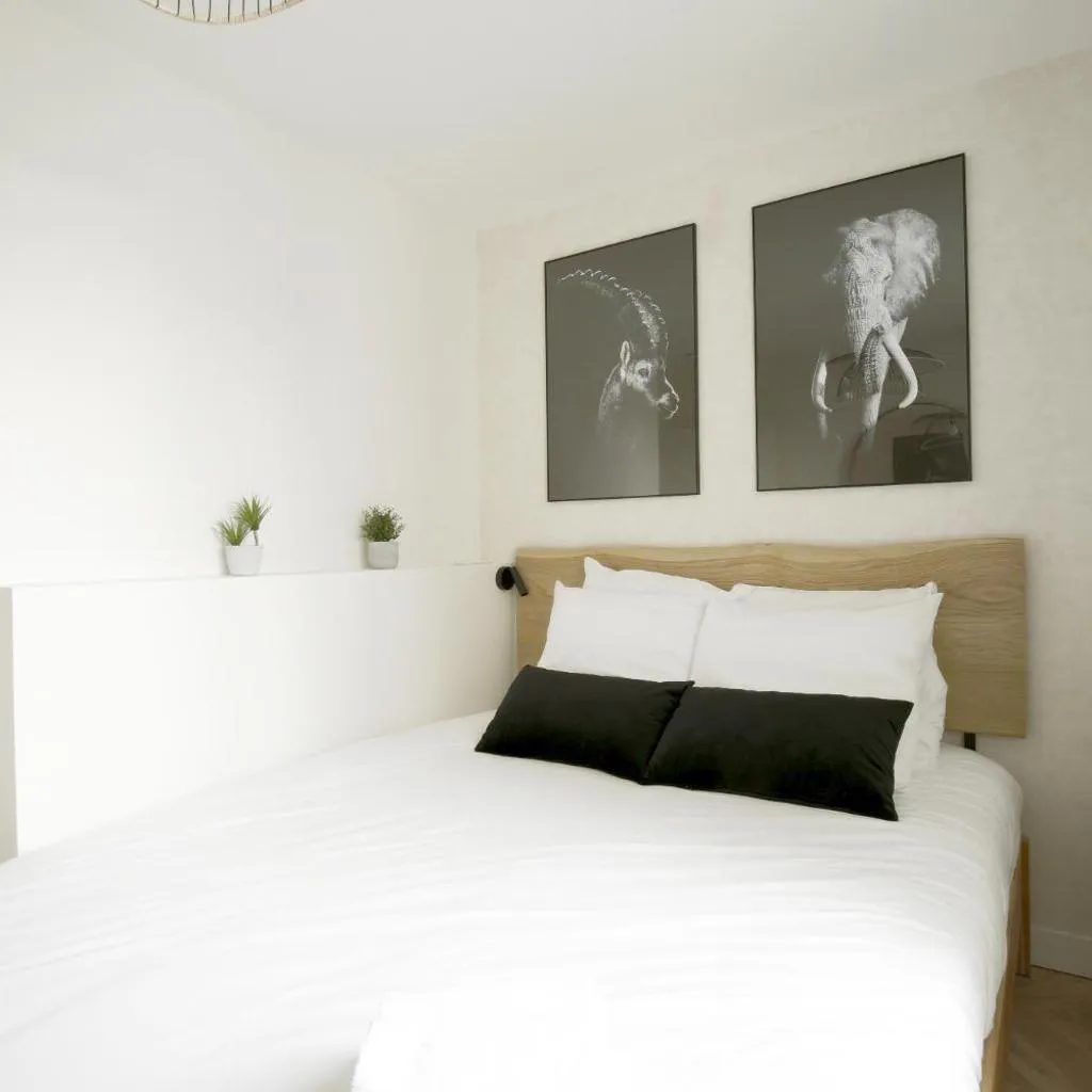 Photograph of Relish Best Paris Baguette in Light-Filled Duplex