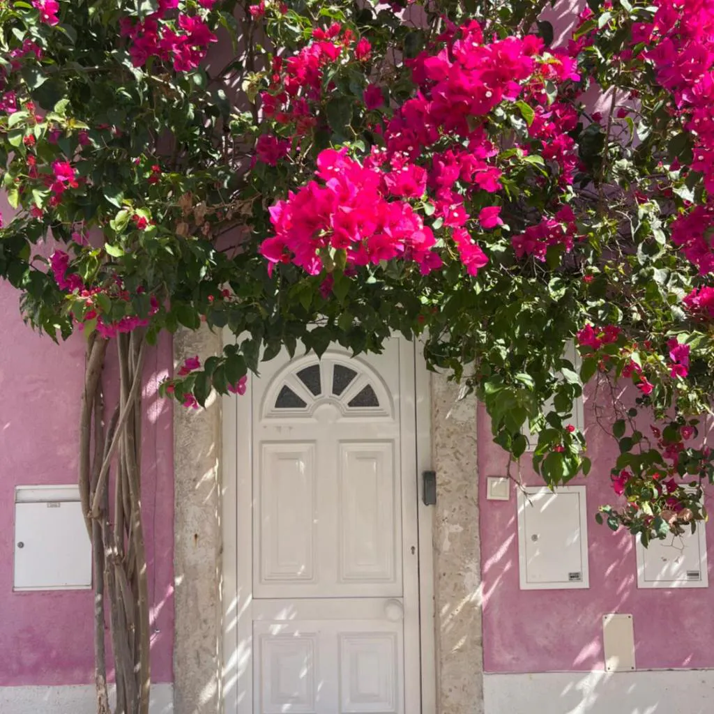 Photograph of Casa Cor de Rosa