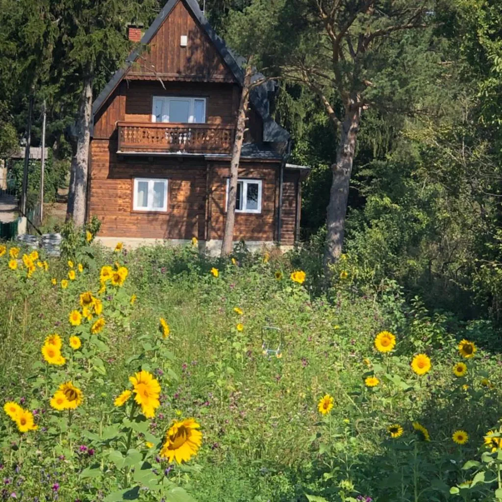 Photograph of Vacationhome in the vineyards
