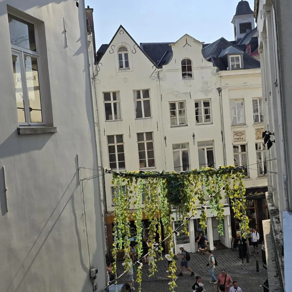 Photograph of Royal sleeping Brussels
