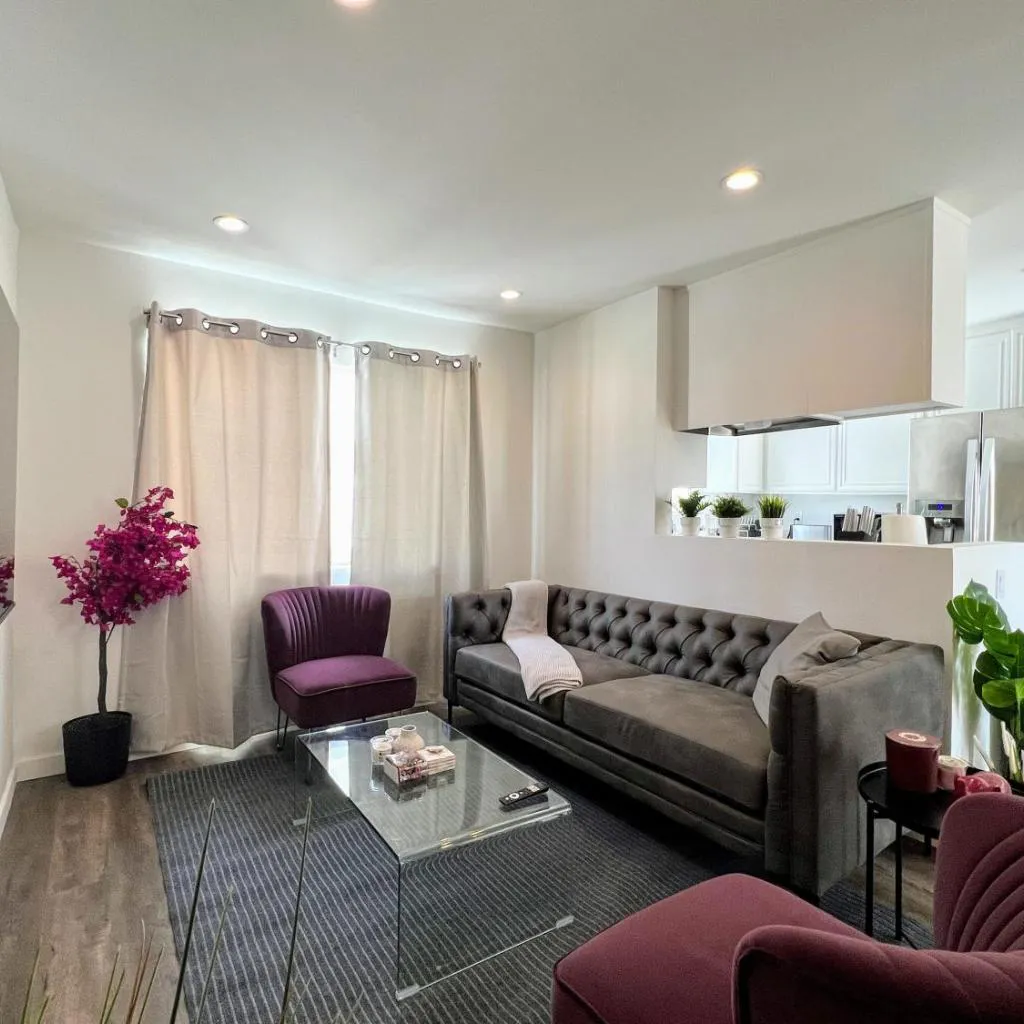 Photograph of Hollywood Purple Habitat