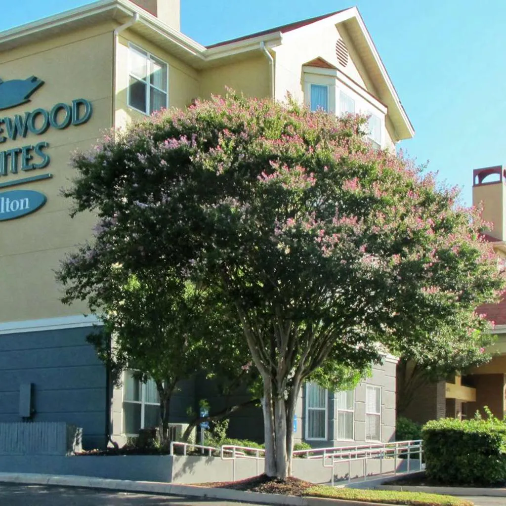 Photograph of Homewood Suites by Hilton San Antonio Northwest