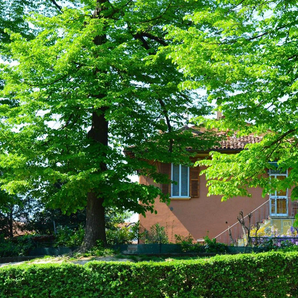 Photograph of Il Giardino Nel Parco R&B