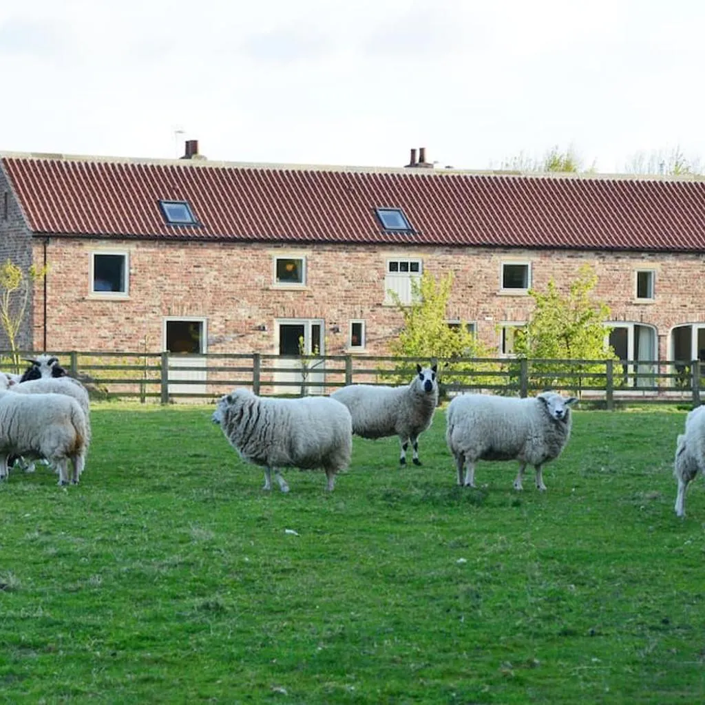 Photograph of Luxury Barn with sauna near York welcoming families, friends, groups