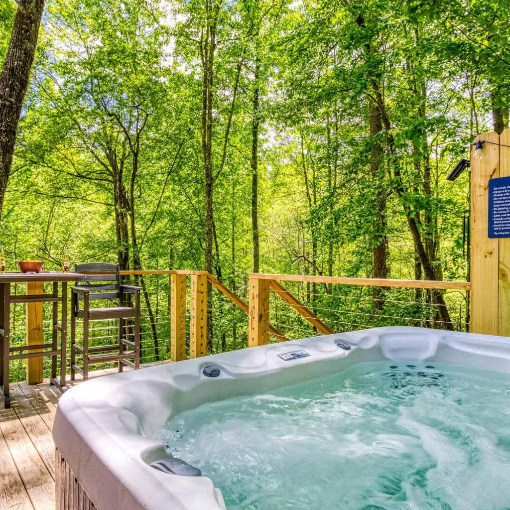 Photograph of Pine and Peak - Hot Tub Fire Pit & Dog Friendly - Gatlinburg Arts & Crafts Community - Sleeps 6